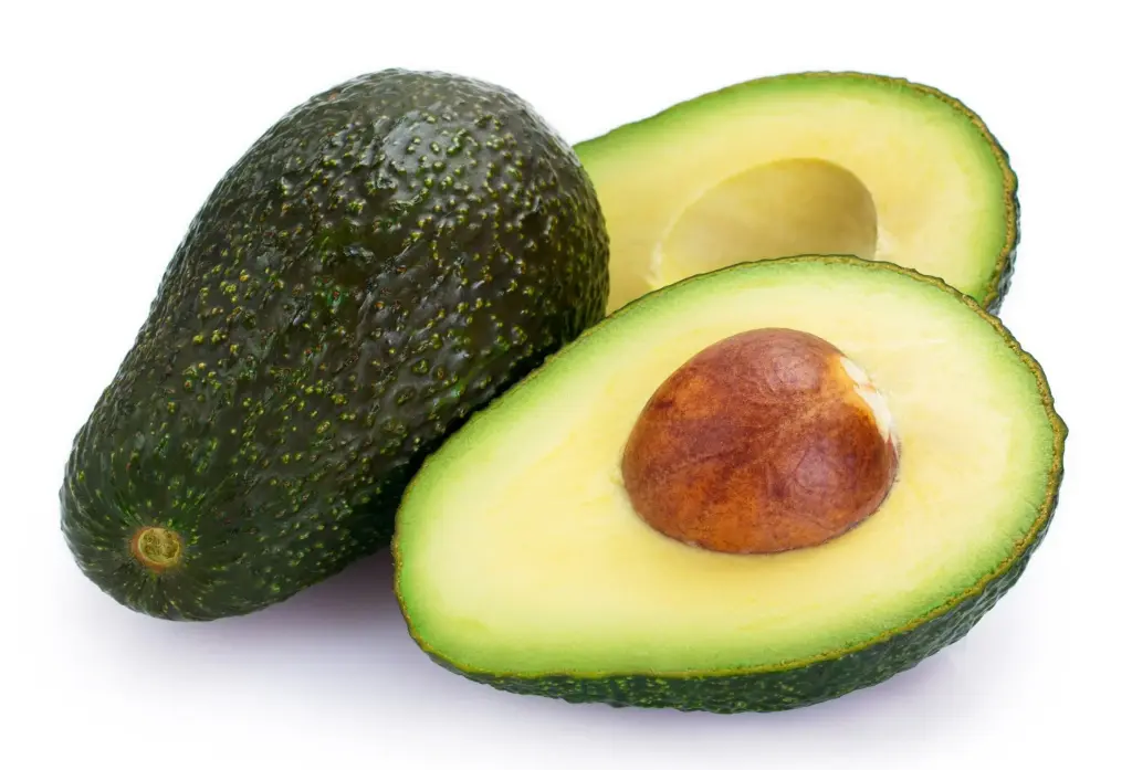 Importante impulsar proyectos innovadores en industria del aguacate: Luis Doporto Alejandre