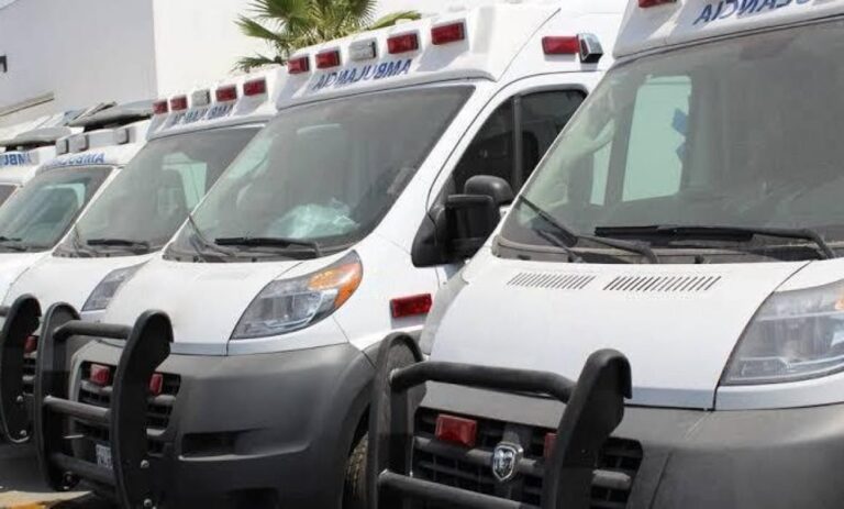 Temen incumplimiento de empresas de Cuauhtémoc Velasco a Segalmex