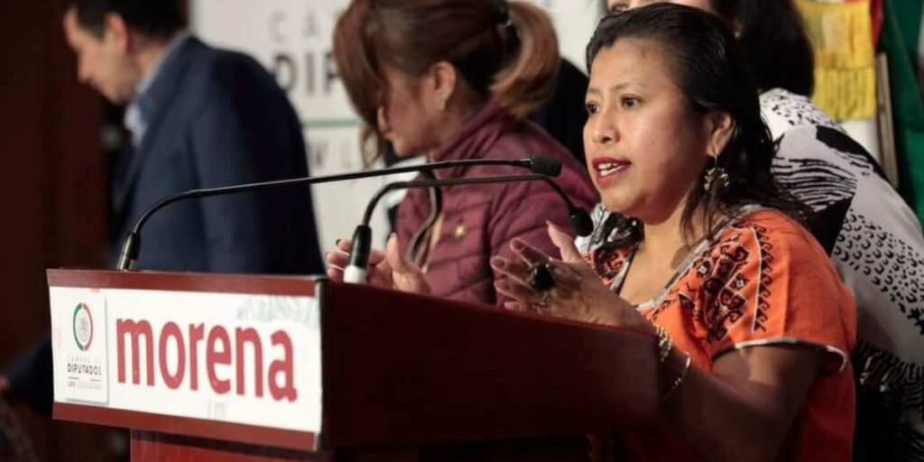 Inés Parra, diputada de Morena, está en contra de las iniciativas y proyectos de su partido político