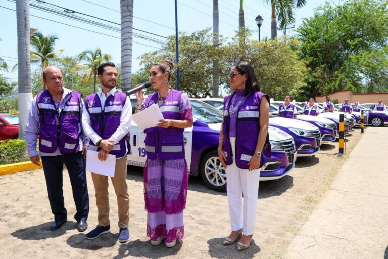 Evelyn Salgado Pineda: Todos los taxis Violeta contarán con cédula de identificación