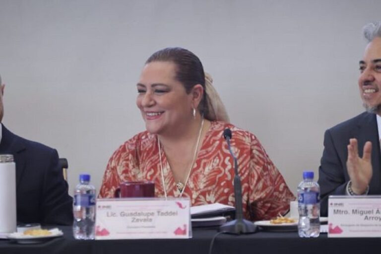 Consejera del INE recibe a vocero del Presidente