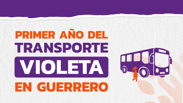 Primer año del transporte violeta en Guerrero