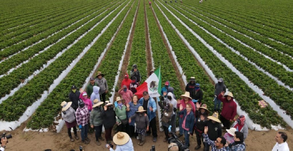 Migrantes están preocupados por la violencia en México: Xóchitl Gálvez