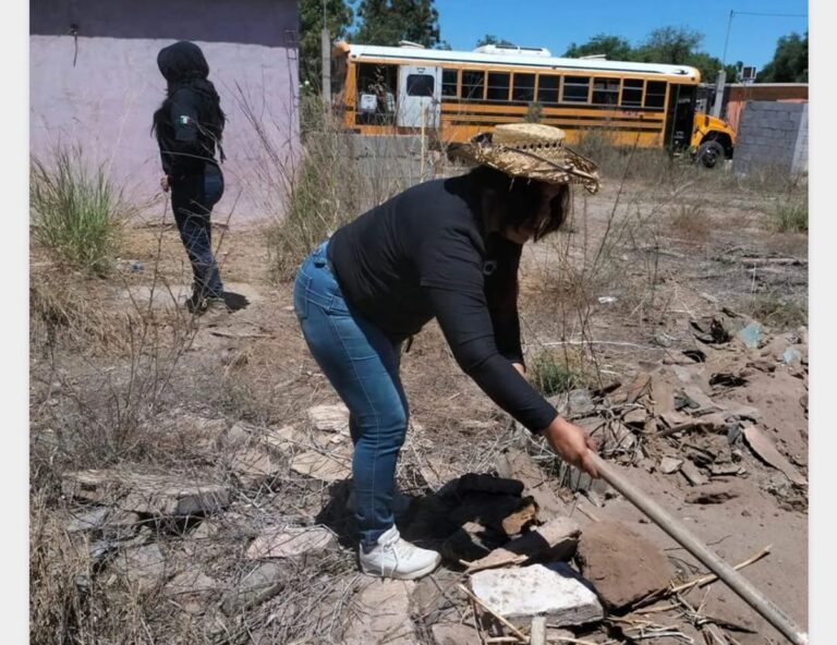 Colectivos de madres buscadoras rechazan a la nueva titular de Comisión Nacional de Búsqueda