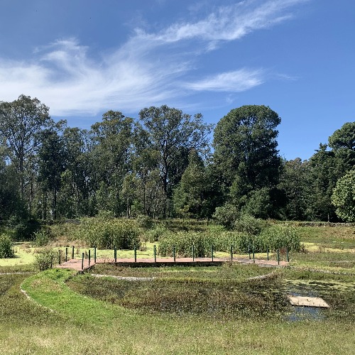 Villa Atl: Conservación del Ajolote del Altiplano en México