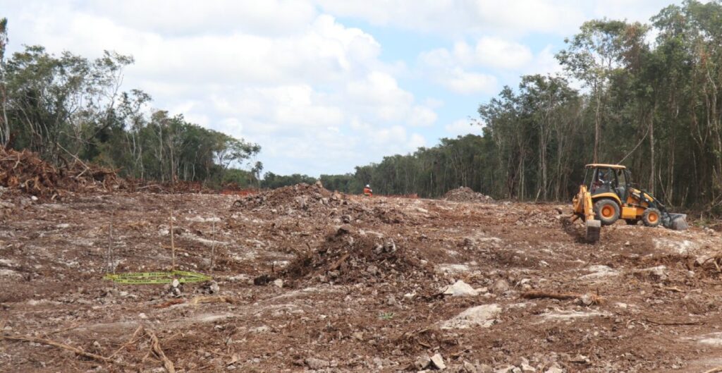Agresiones contra ambientalistas se relacionan con Tren Maya: CEMDA