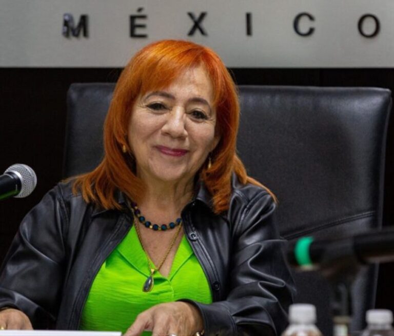 Revisarán opositores si hay más cartas falsas en apoyo a Rosario Piedra