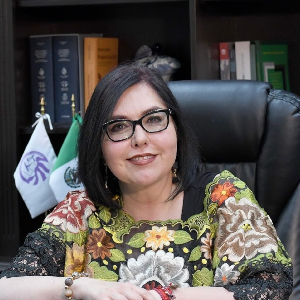 Temen infiltración del crimen en la elección judicial