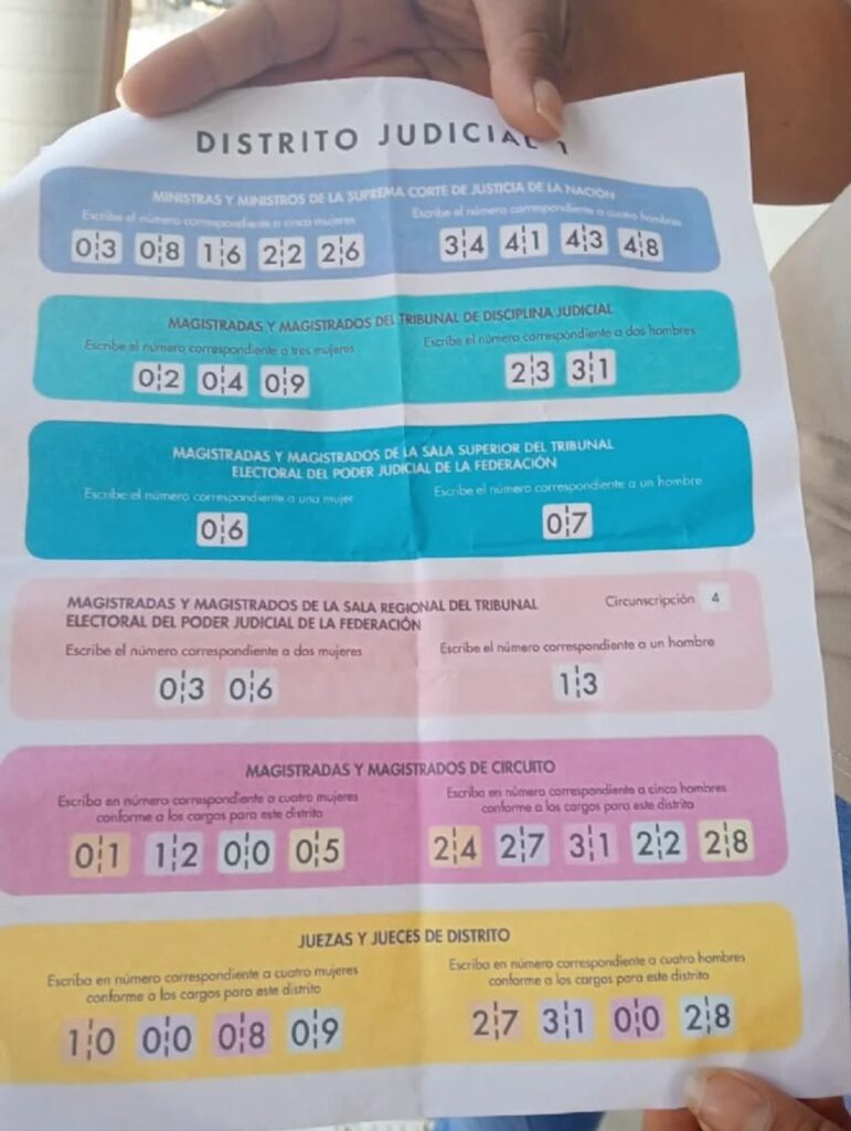 Así operó la red en Morena para capturar la elección judicial