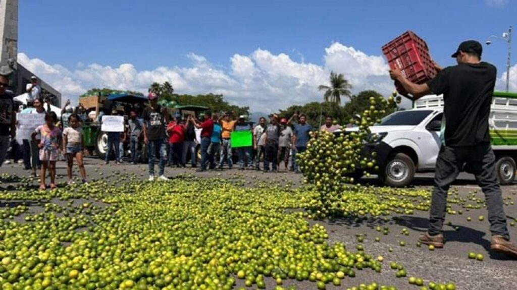 Sedena sabe quiénes extorsionan a los limoneros y sus ligas con el gobierno de Michoacán