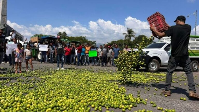 Sedena sabe quiénes extorsionan a los limoneros y sus ligas con el gobierno de Michoacán