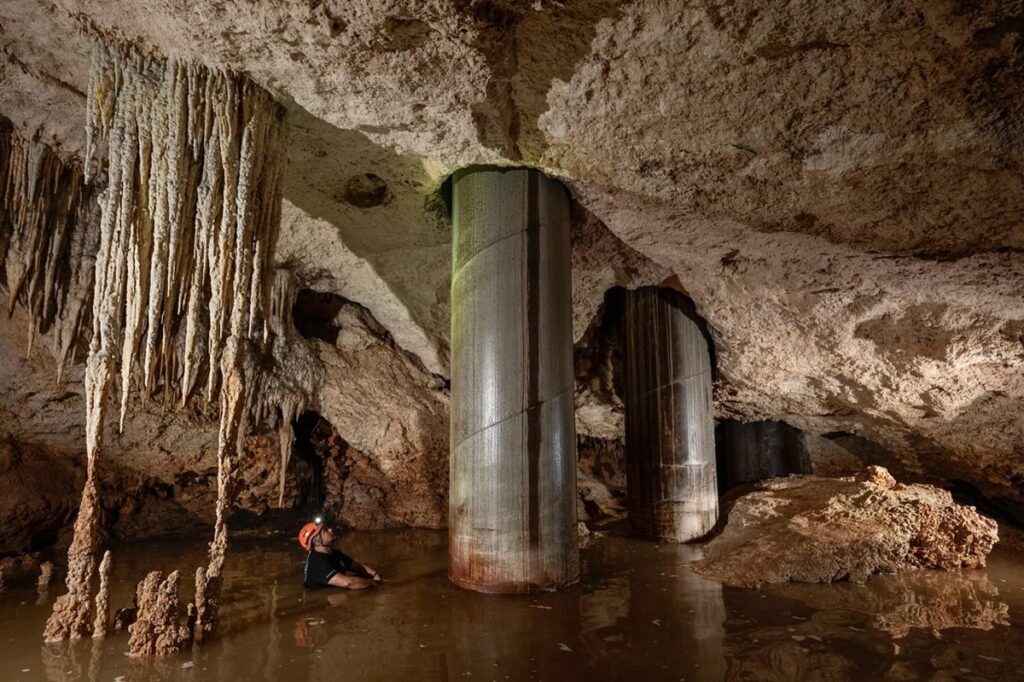 Este gobierno (Morena) es criminal, por su soberbia, por su corrupción e ignorancia