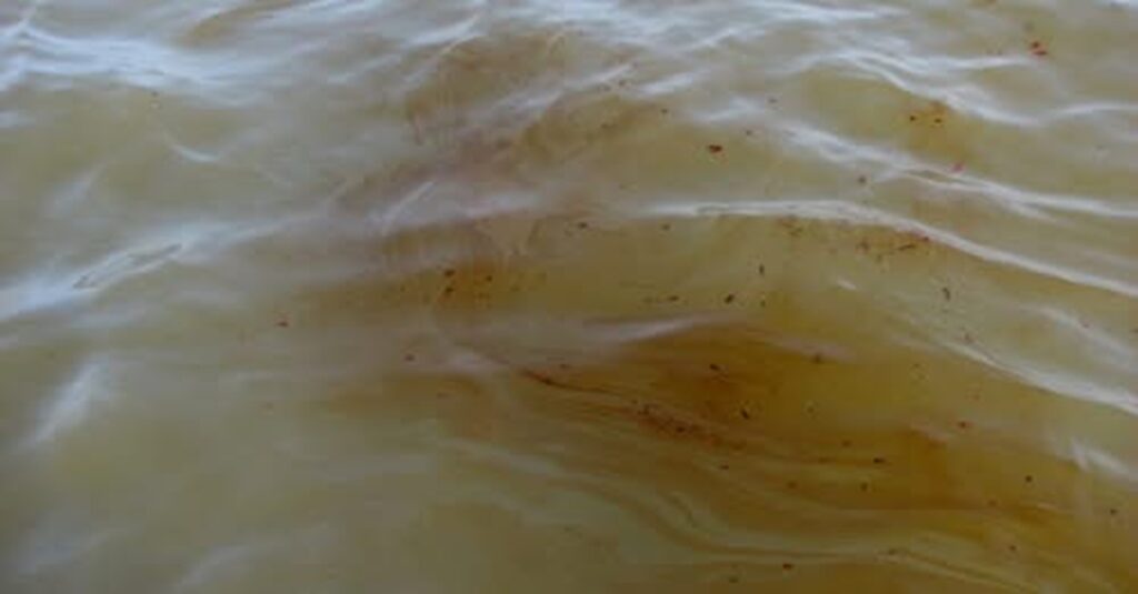 Comunidades del Golfo de México denuncian negligencia por afectaciones de actividad petrolera