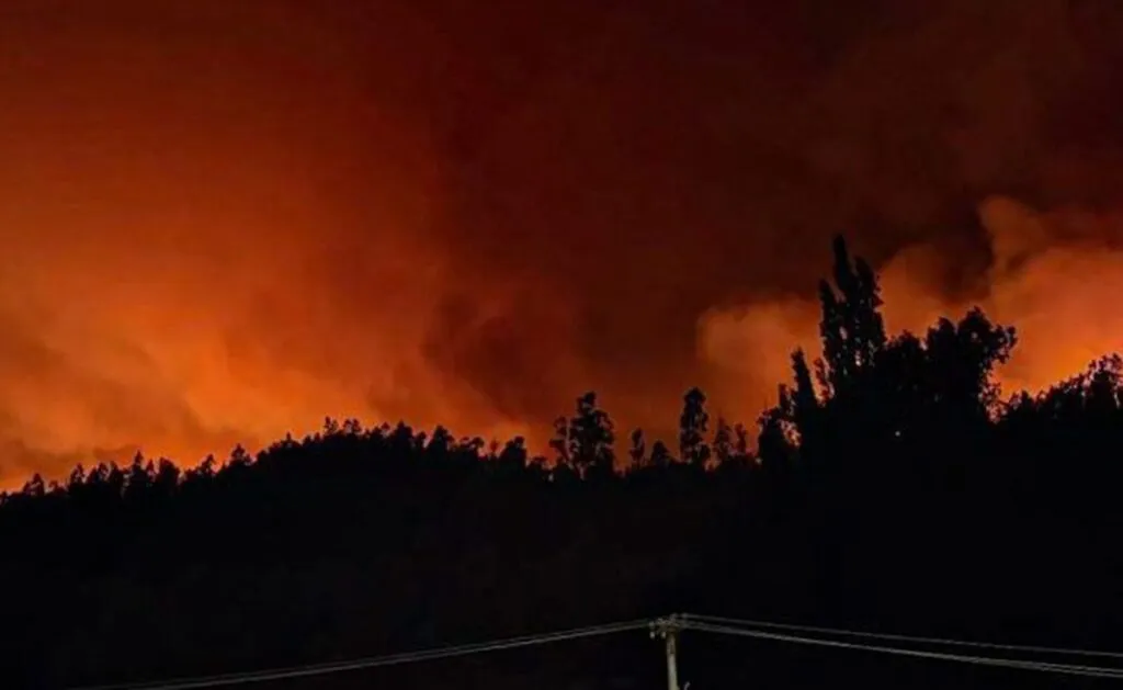 Al menos 16 personas mueren en Chile por incendios forestales
