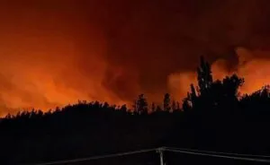 Al menos 16 personas mueren en Chile por incendios forestales