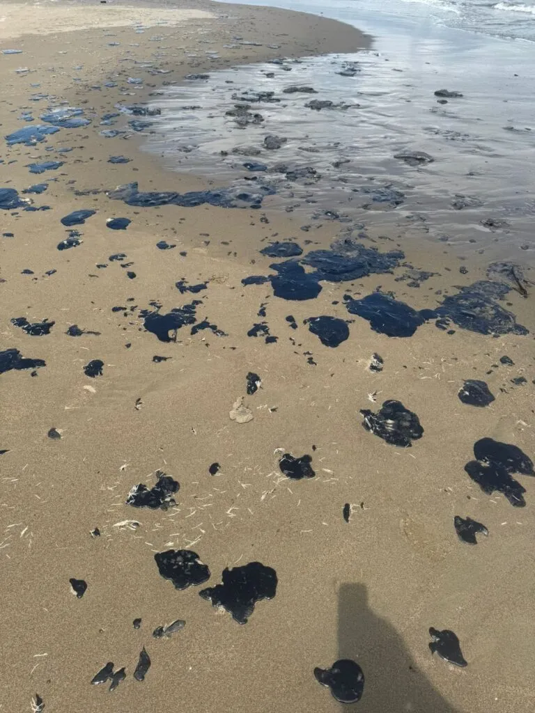 Sheinbaum anuncia observatorio del Golfo de México tras derrame de hidrocarburos